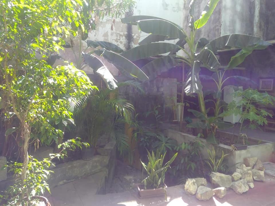 Fusion Guesthouse Salvador Luaran gambar